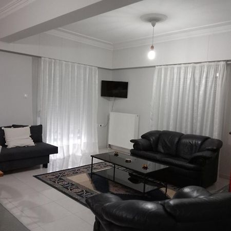 Spacious Apartment Anatoli Ioannina Extérieur photo
