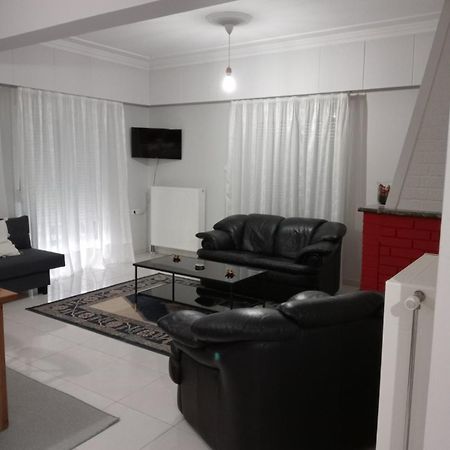 Spacious Apartment Anatoli Ioannina Extérieur photo
